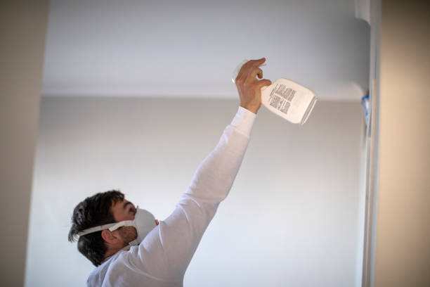Best Mold Testing  in Perris, CA